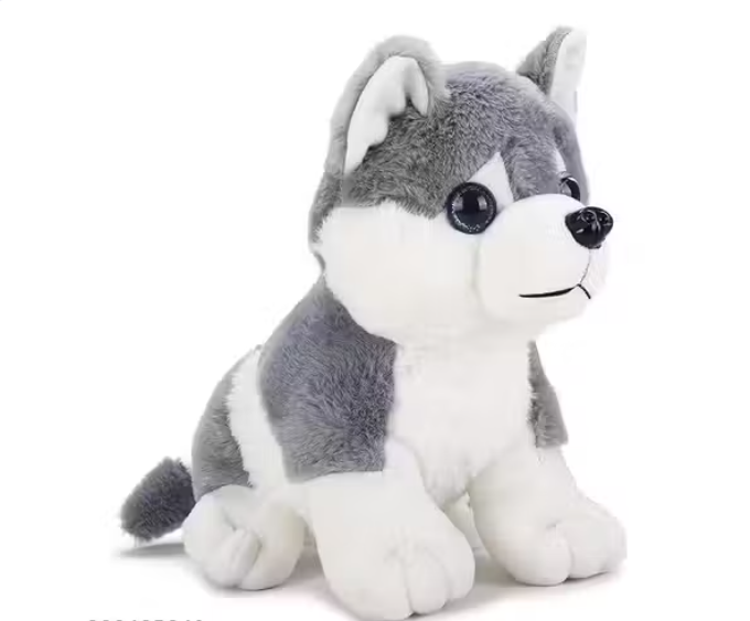 KIDORA'S HUSKY