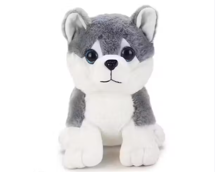 KIDORA'S HUSKY